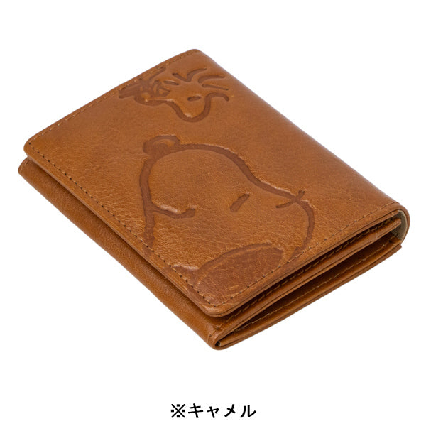 スヌーピー ファスナー付パスケース (スマイルシリーズ)