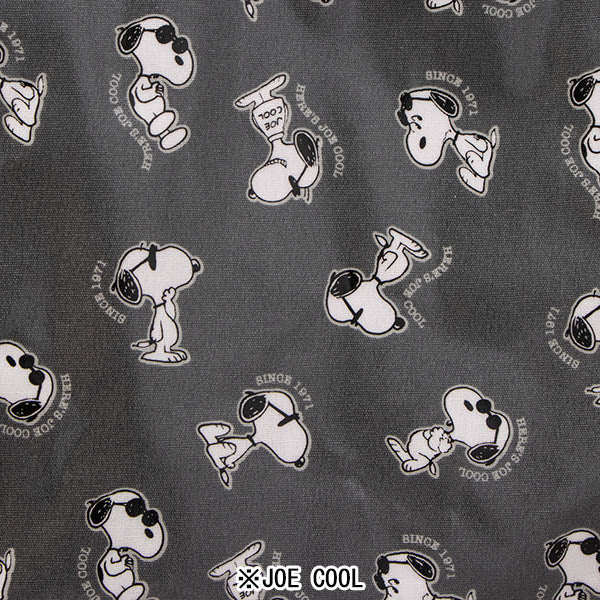 PEANUTS ROOTOTE スクエアバッグ ラミネート (0L)